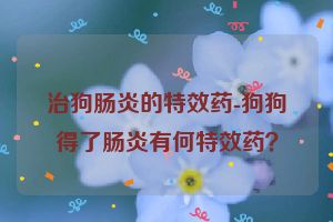 治狗肠炎的特效药-狗狗得了肠炎有何特效药？