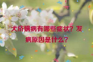 犬疥螨病有哪些症状？发病原因是什么？