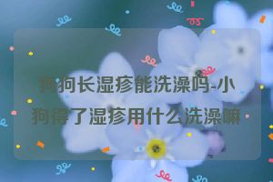 狗狗长湿疹能洗澡吗-小狗得了湿疹用什么洗澡嘛