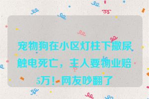 宠物狗在小区灯柱下撒尿触电死亡，主人要物业赔5万！网友吵翻了