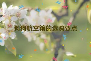 狗狗航空箱的选购要点