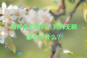 狗狗会无聊吗，狗狗无聊都会做什么？