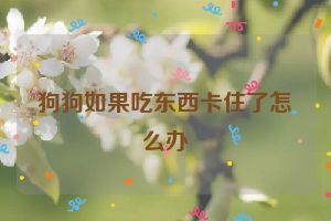 狗狗如果吃东西卡住了怎么办