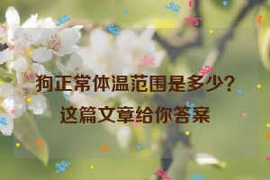 狗正常体温范围是多少？这篇文章给你答案