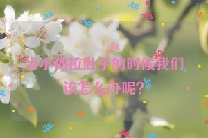 当小狗拉肚子的时候我们该怎么办呢？