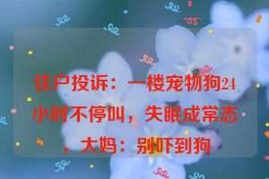 住户投诉：一楼宠物狗24小时不停叫，失眠成常态，大妈：别吓到狗