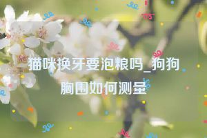 猫咪换牙要泡粮吗_狗狗胸围如何测量