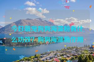 今日萌宠狗狗海藻粉有什么功效？狗狗海藻粉作用