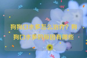 狗狗口水多怎么治疗？狗狗口水多的原因有哪些