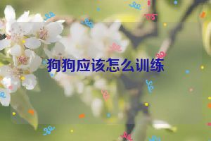 狗狗应该怎么训练