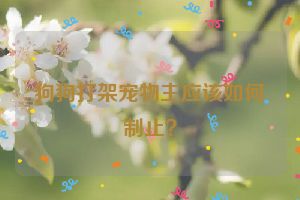 狗狗打架宠物主应该如何制止？