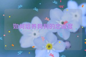 如何培养狗狗的忠诚度