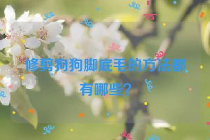 修剪狗狗脚底毛的方法都有哪些？