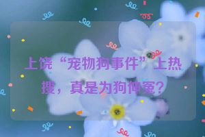 上饶“宠物狗事件”上热搜，真是为狗伸冤？