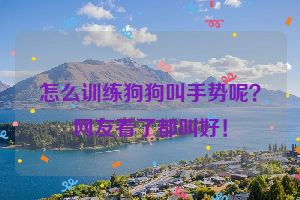 怎么训练狗狗叫手势呢？网友看了都叫好！