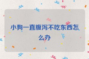 小狗一直腹泻不吃东西怎么办