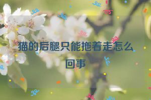 猫的后腿只能拖着走怎么回事