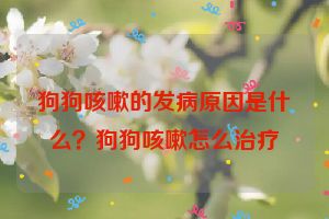 狗狗咳嗽的发病原因是什么？狗狗咳嗽怎么治疗