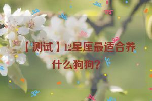 【测试】12星座最适合养什么狗狗？