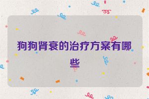狗狗肾衰的治疗方案有哪些