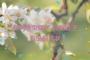 狗狗蛲虫症状-狗狗肚子有虫的症状