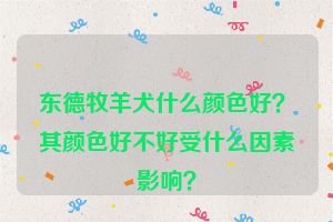 东德牧羊犬什么颜色好？ 其颜色好不好受什么因素影响？