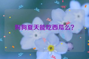 狗狗夏天能吃西瓜么？