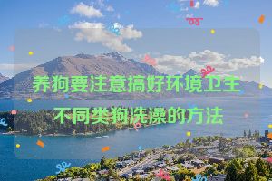 养狗要注意搞好环境卫生 不同类狗洗澡的方法