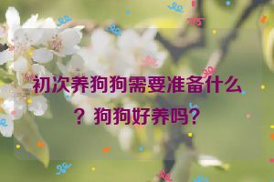 初次养狗狗需要准备什么？狗狗好养吗？