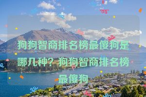 狗狗智商排名榜最傻狗是哪几种？狗狗智商排名榜最傻狗