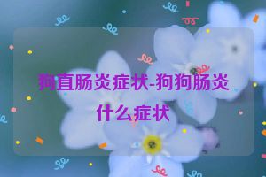 狗直肠炎症状-狗狗肠炎什么症状