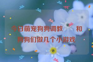 今日萌宠狗狗调教  和狗狗们做几个小游戏