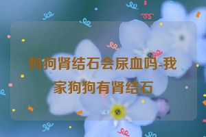 狗狗肾结石会尿血吗-我家狗狗有肾结石