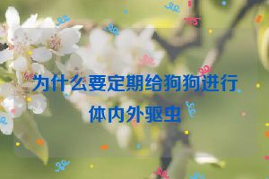 为什么要定期给狗狗进行体内外驱虫