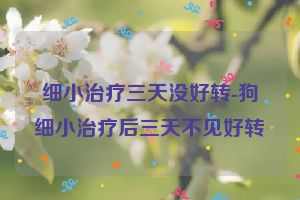 细小治疗三天没好转-狗细小治疗后三天不见好转