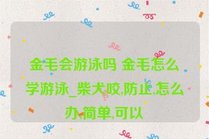 金毛会游泳吗 金毛怎么学游泳_柴犬咬,防止,怎么办,简单,可以