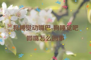 狗睡觉动嘴巴-狗睡觉吧唧嘴怎么回事