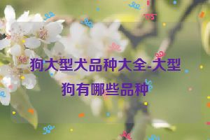 狗大型犬品种大全-大型狗有哪些品种