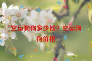 空运狗狗多少钱？空运狗狗价格