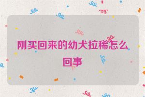 刚买回来的幼犬拉稀怎么回事