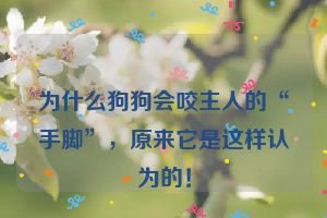 为什么狗狗会咬主人的“手脚”,原来它是这样认为的!
