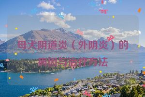 母犬阴道炎（外阴炎）的病因与治疗方法