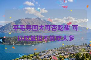 平毛寻回犬可否吃盐 可以吃盐但不能吃太多