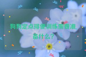 狗狗定点排便训练需要准备什么？