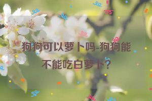 狗狗可以萝卜吗-狗狗能不能吃白萝卜？