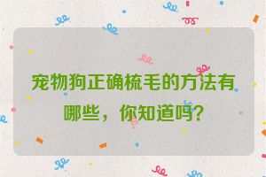 宠物狗正确梳毛的方法有哪些，你知道吗？