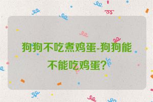 狗狗不吃煮鸡蛋-狗狗能不能吃鸡蛋？