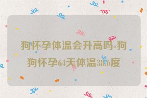 狗怀孕体温会升高吗-狗狗怀孕64天体温38.6度