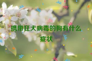 携带狂犬病毒的狗有什么症状