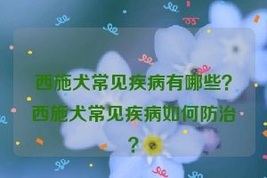 西施犬常见疾病有哪些？西施犬常见疾病如何防治？